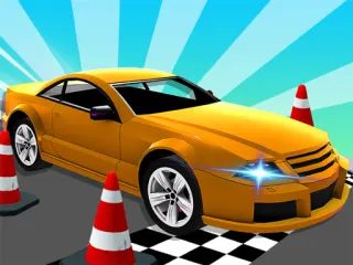 真實汽車停車與特技