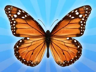 MergeButerfly: 2048!