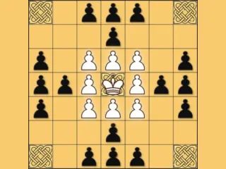 Tafl: viking chess